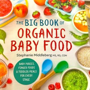 The Big Book of Organic Baby Food